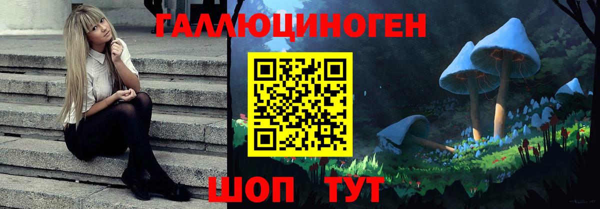 Псилоцибиновые грибы GOLDEN TEACHER  Вход с VPN  как найти закладки  Галлюциногенные грибы MAGIC MUSHROOMS  Чехов 