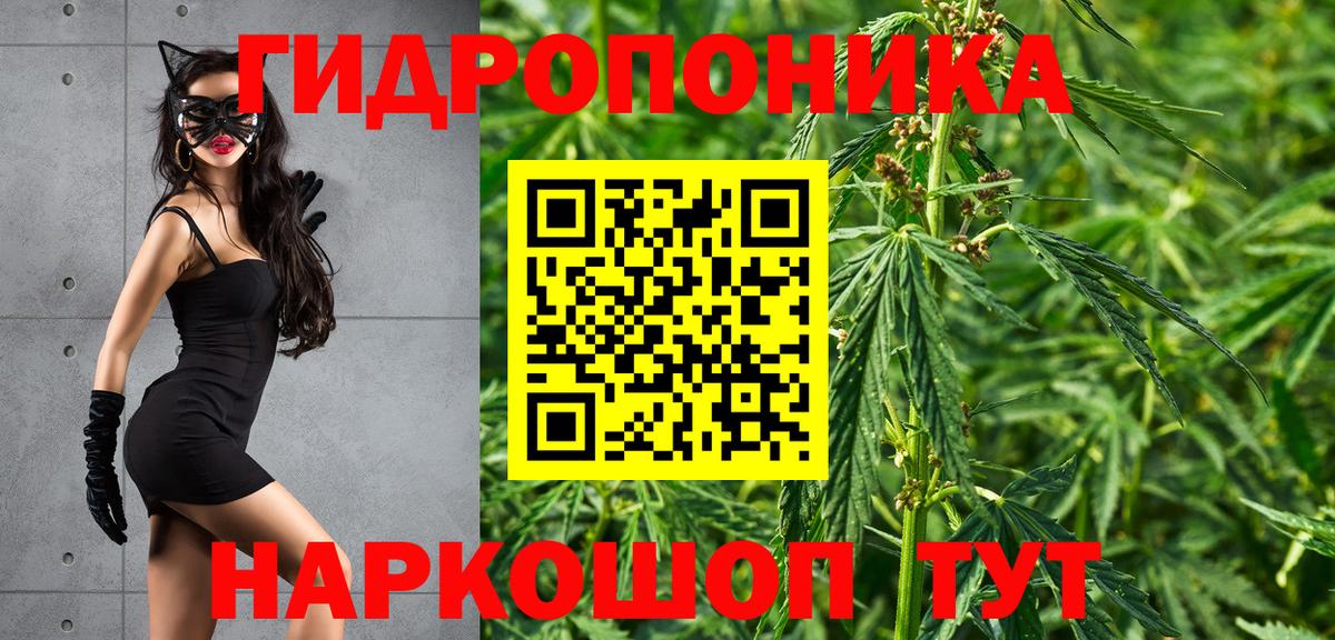 Канабис индика Чехов